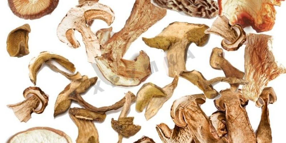 Рецепт сушка грибов в духовке