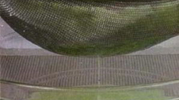 конфитюр из киви и крыжовника