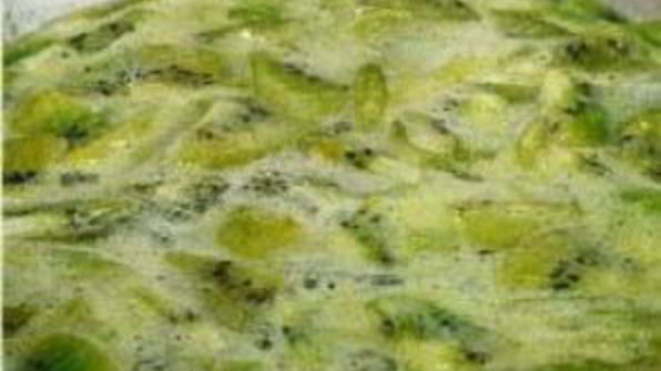 конфитюр из киви и крыжовника