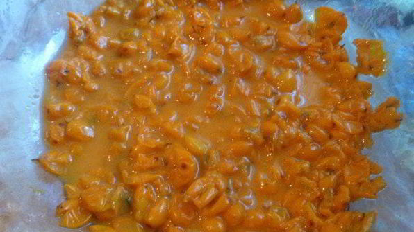 облепиховое варенье