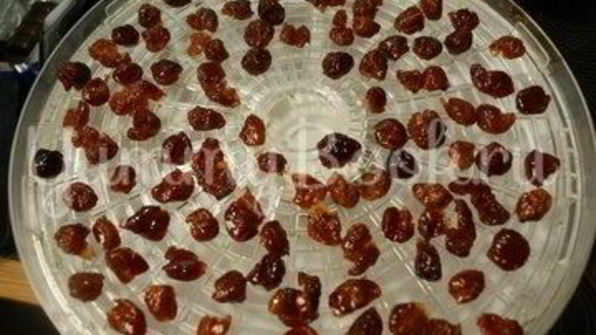 цукаты из черешни