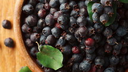 Варенье из ирги