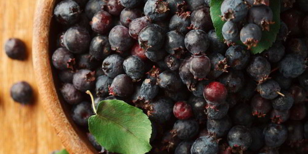 Рецепт варенье из ирги