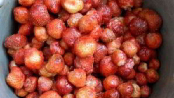 варенье из клубники на зиму