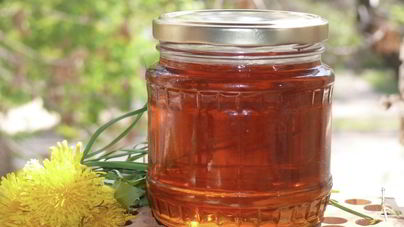 Варенье из одуванчиков в хлебопечке