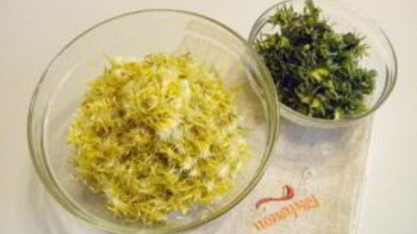 варенье из одуванчиков