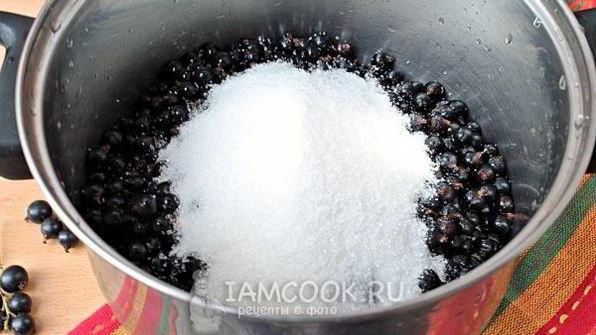 варенье-желе из черной смородины