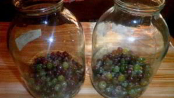 виноград на зиму