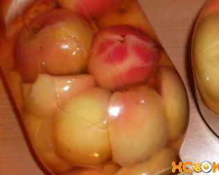 Яблоки на зиму