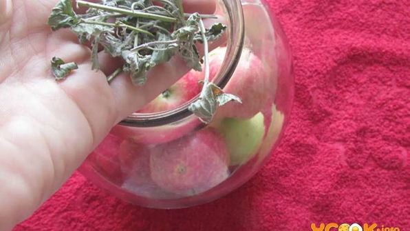 яблоки на зиму