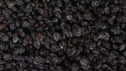 Заготовка аронии