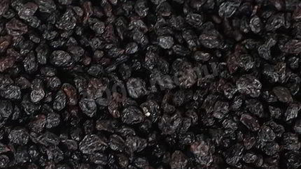 Заготовка аронии