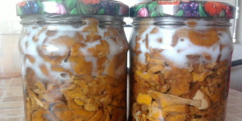 Рецепт заготовка лисичек на зиму