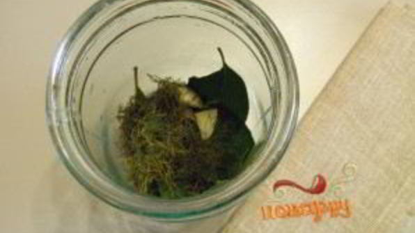 закатка томатов на зиму