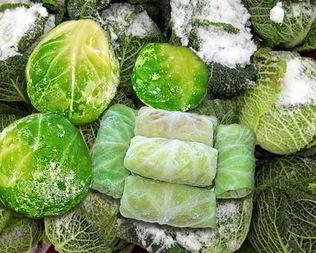 Замороженная капуста на зиму