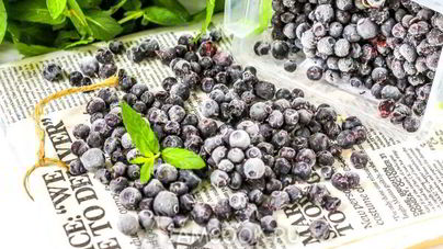 Заморозка черники на зиму