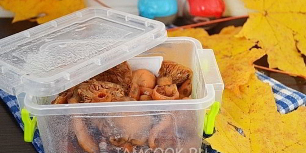 Рецепт заморозка рыжиков на зиму