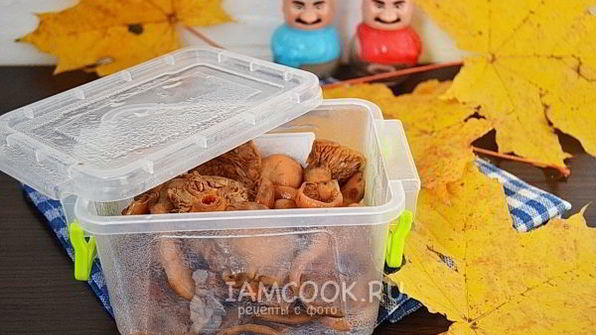 заморозка рыжиков на зиму