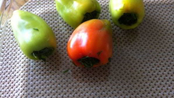 зелень на зиму