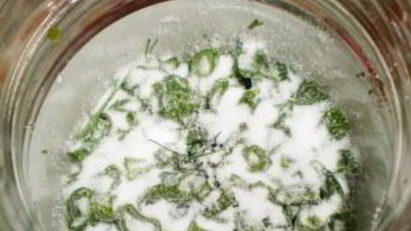 зеленый лук на зиму