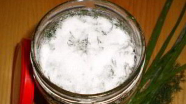 зеленый лук на зиму