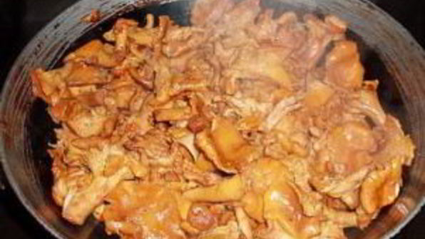 жареные лисички на зиму