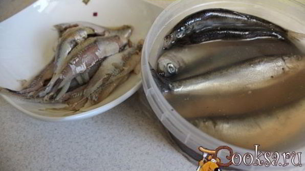 праздничные бутерброды с килькой балтийская весна