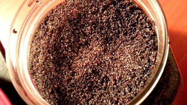 просто бутерброды с рыбой