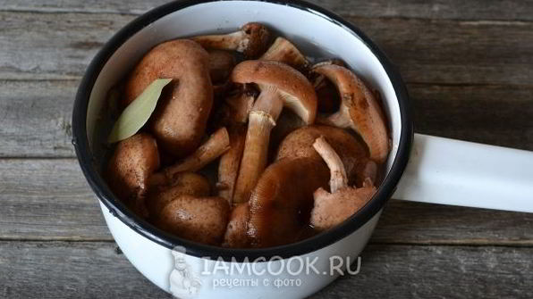 икра из опят замороженная