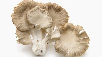 Икра из вешенок