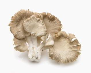 Икра из вешенок