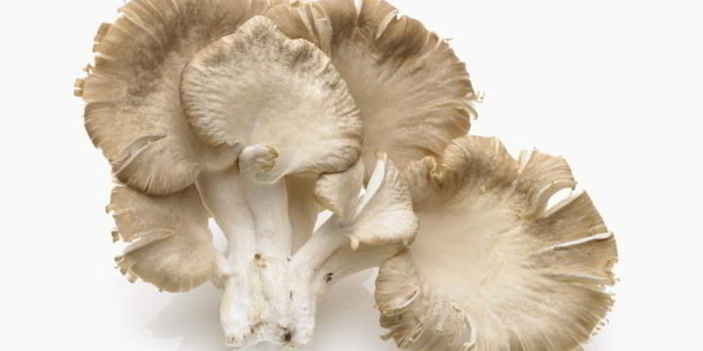 Рецепт икра из вешенок