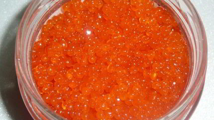 Икра из водорослей