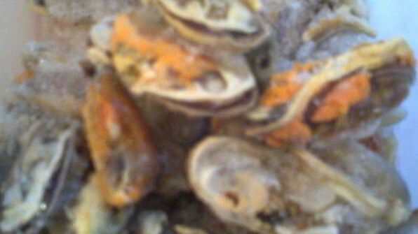 морской омлет