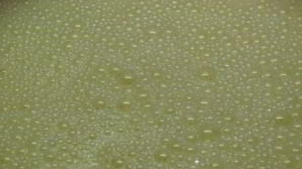 омлет на воде