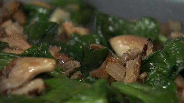 омлет с вешенками и камамбером