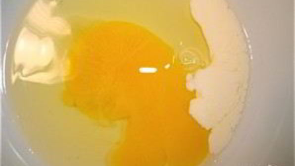 омлет со сливками