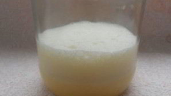 омлет в банке