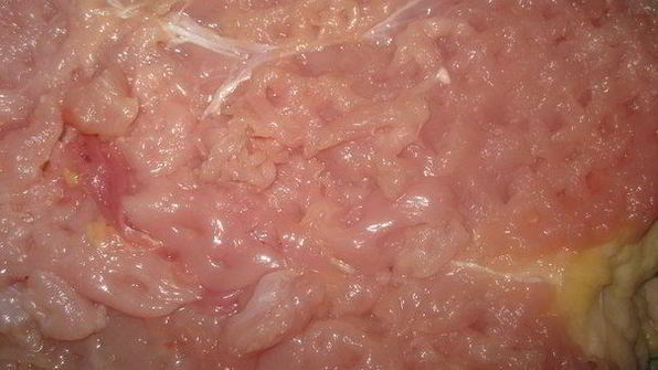 рулет из индейки с клюквой и яблоком