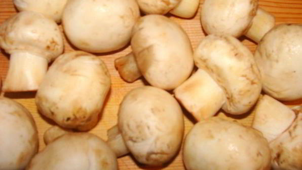 рулет из курицы с грибами, перцем и сыром