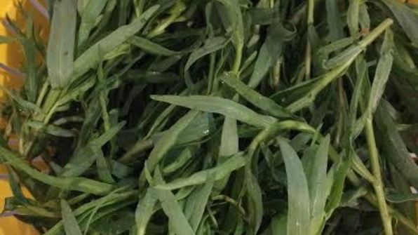 рулет с тархуном и грибами