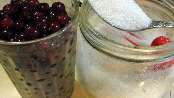 свиные рулетики с грибами под брусничным соусом