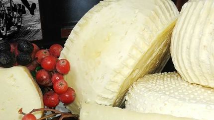 Сыр из козьего молока с пепсином