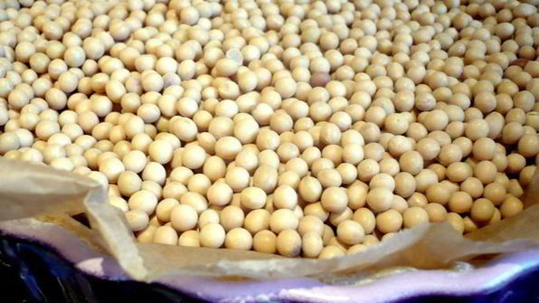 шоколадно-сливочный тарт только мысли все о нем и о нем